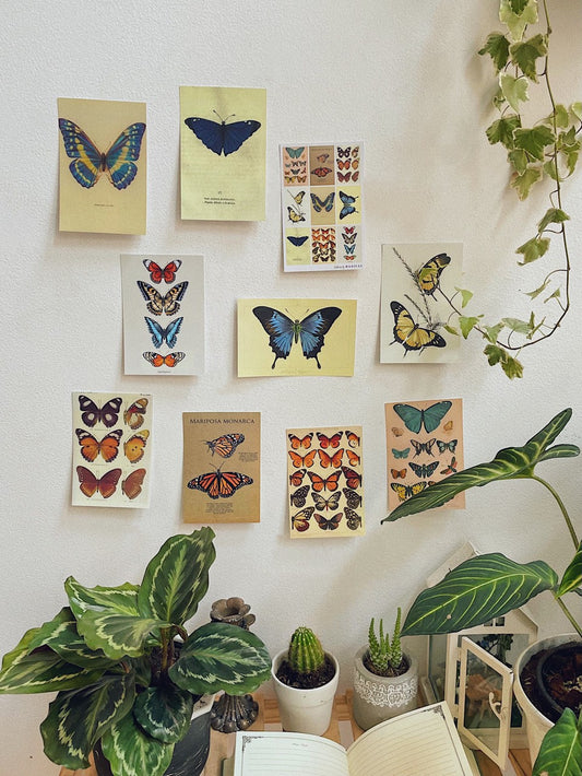 Butterflies Postcard
