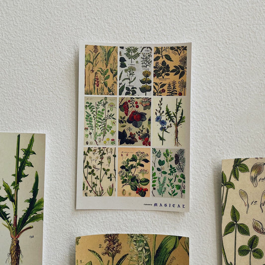 Botanic Postcard