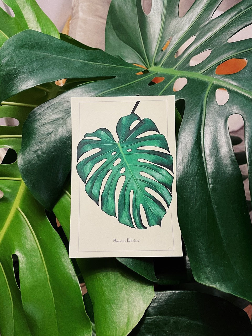 Greenery Postcard