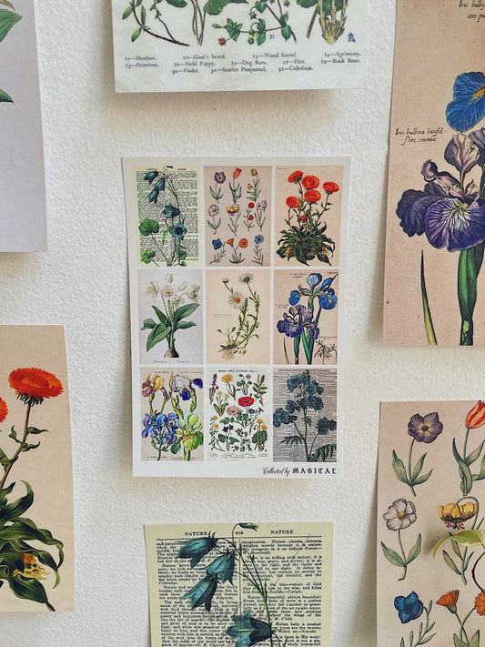 Flowers Postcard