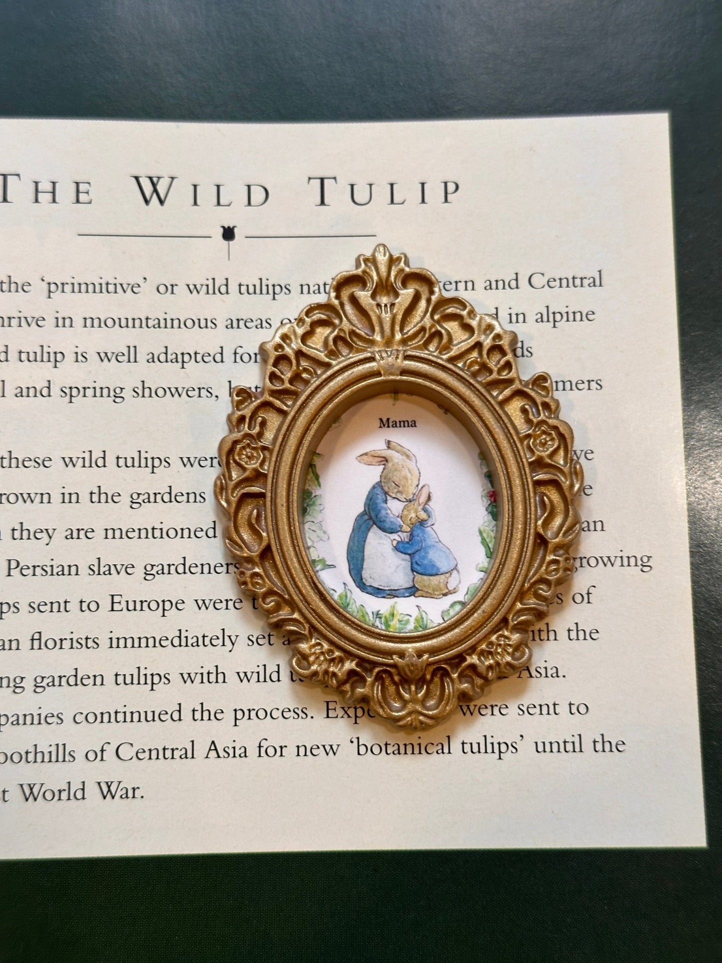 Miniature Frame