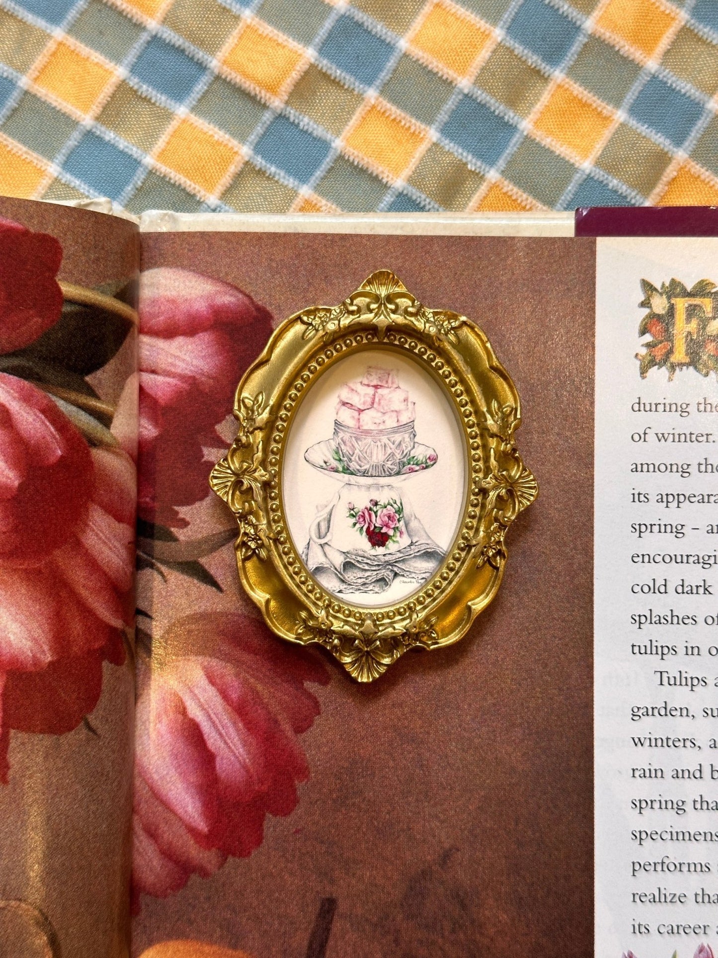 Miniature Frame