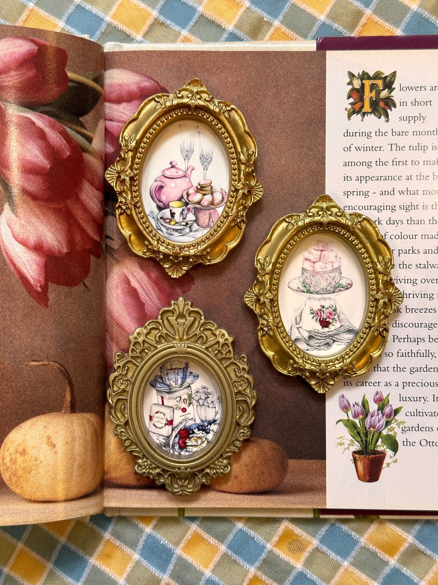 Miniature Frame
