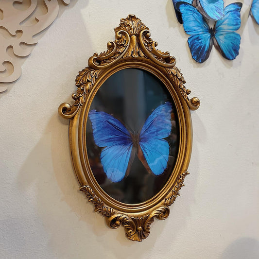 Vintage Style Oval Shaped Frame & Mirror 02