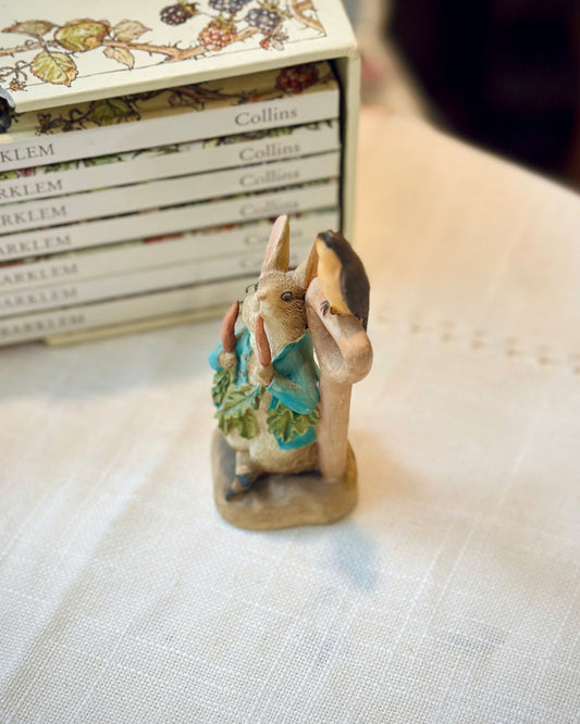 Cute Peter Rabbit Figure 🐰✨
