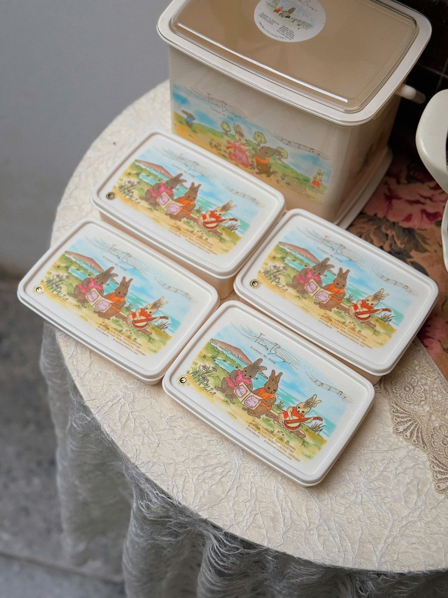 Family Bunny Picnic Box Set