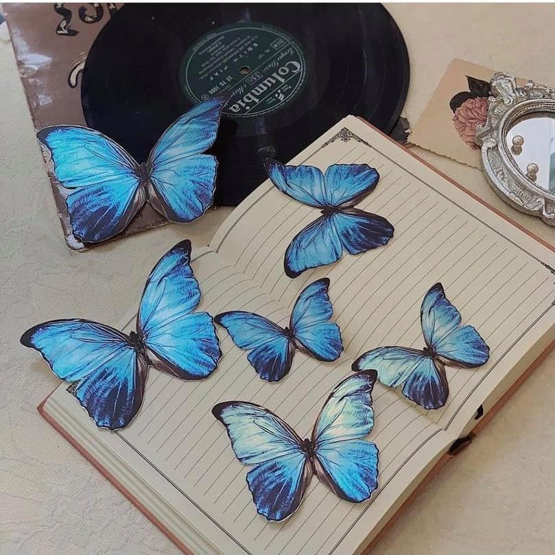 Sticker Bướm