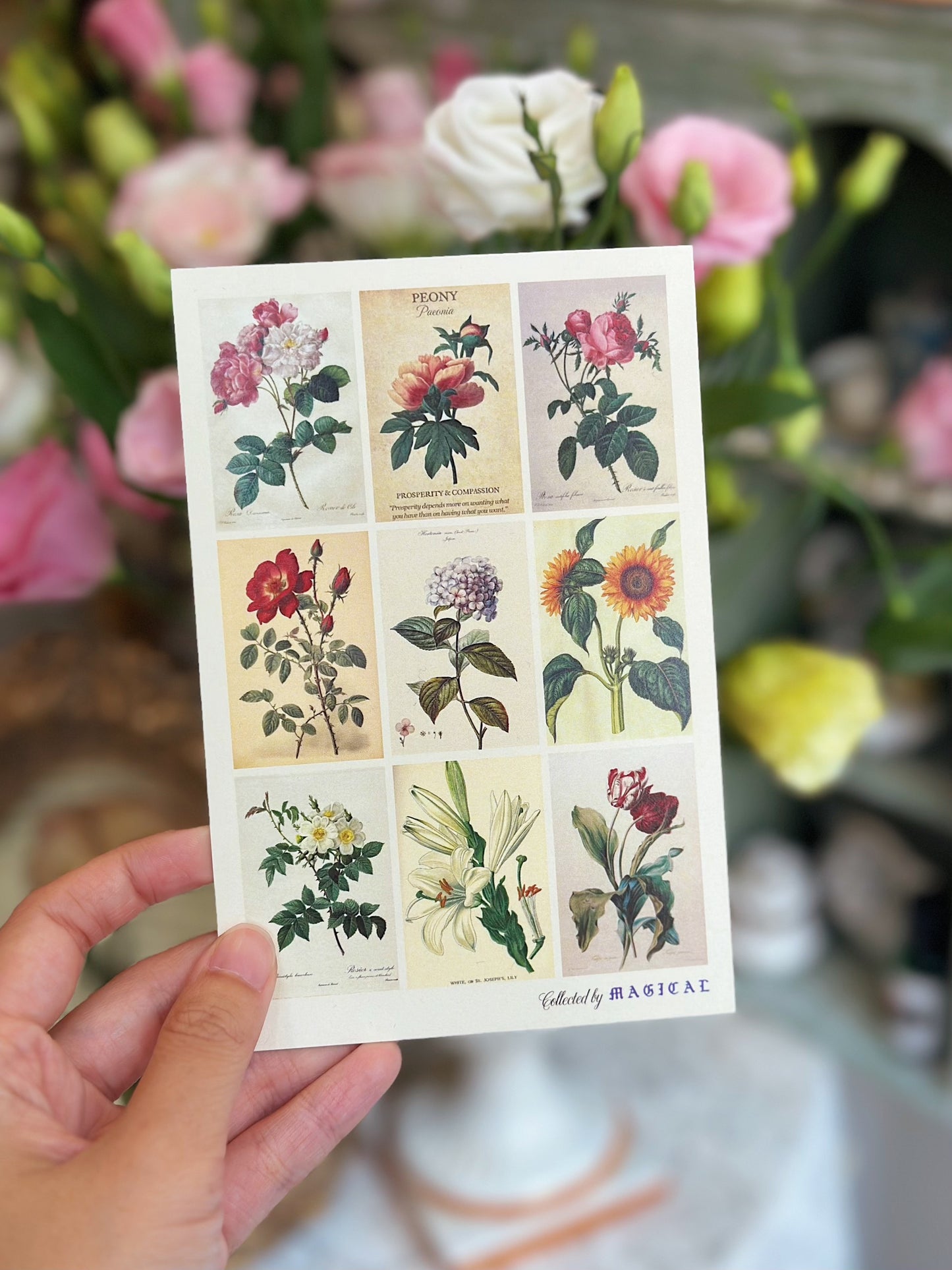 Vintage Flowers Postcard