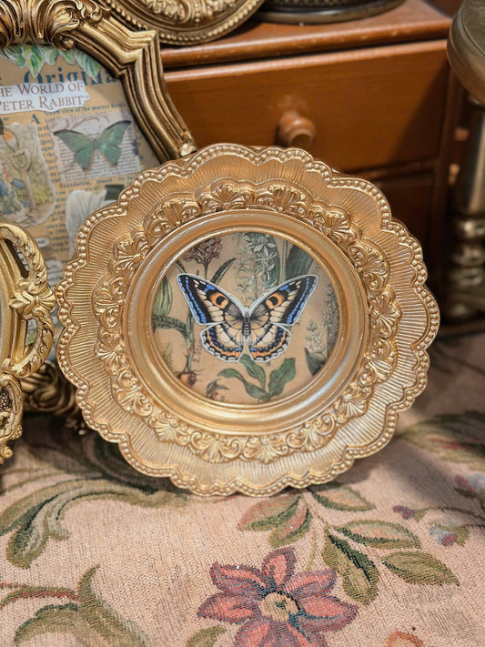Vintage Style Circle Frame 07