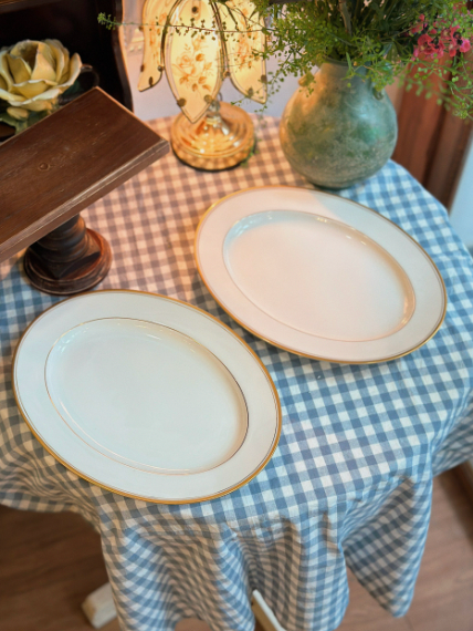 Vintage Noritake Oval Plate