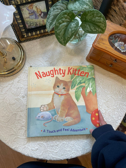 Naughty Kitten: A Touch and Feel Adventure✨