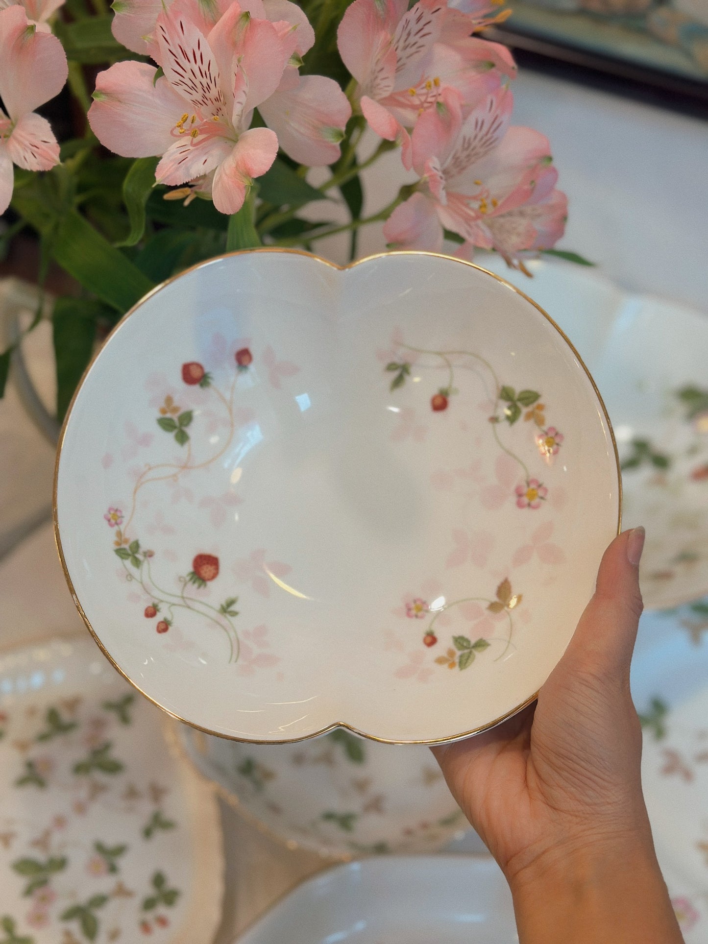 Bộ gốm sứ xương Wild Strawberry - Wedgwood ✨